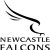 Nick Reynolds Newcastle Falcons