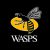 Adam Kwasnicki Wasps