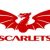 Eduan Swart Scarlets