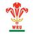 Robert Lewis Wales U20's