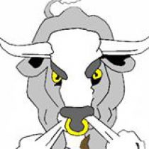Aylesford Bulls Ladies RFC