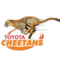 Reinhardt Erwee rugby player