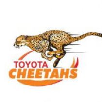 Cheetahs