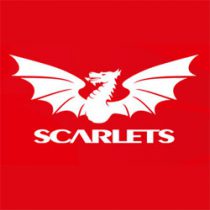 Stuart Worrall Scarlets