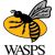 Nathan Charles Wasps