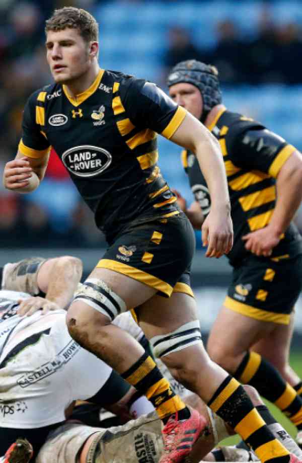 Image result for tom willis rugby
