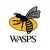 Andy Saull Wasps