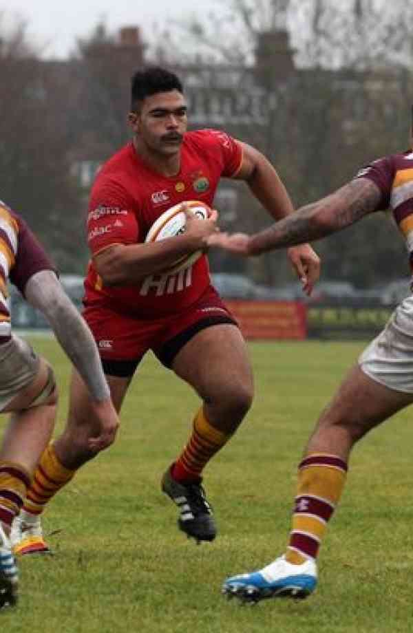 David Langley Ultimate Rugby Players, News, Fixtures and Live Results