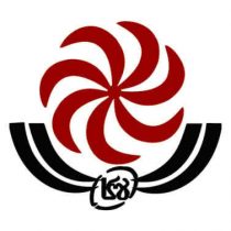 Tendo Gigolashvili rugby player