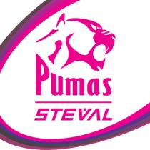 puma rugby league
