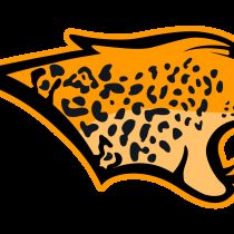 Jaguares