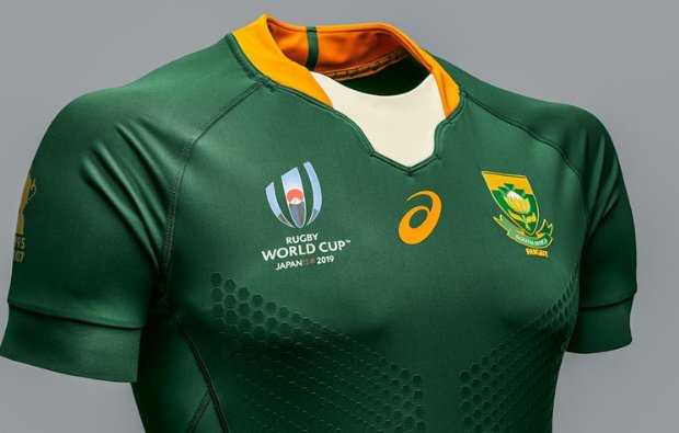 world cup springbok jersey