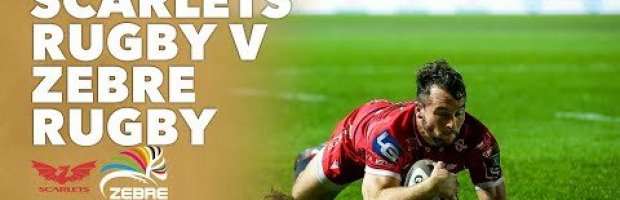 Pro 14 Rd 5 Highlights Scarlets Vs Zebre Rugby Ultimate Rugby Players News Fixtures And Live Results