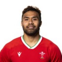 Willis Halaholo rugby player