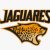 Jaguares Logo