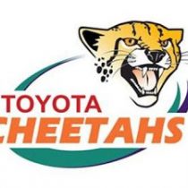 Luan Potgieter rugby player