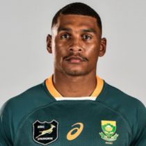 Damian Willemse rugby player
