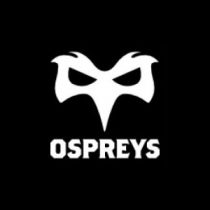 Ospreys