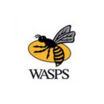 Wasps
