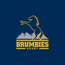 Brumbies