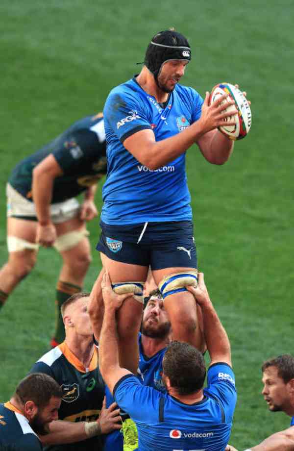 Walt Steenkamp Ultimate Rugby Players, News, Fixtures and Live Results