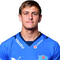 Werner Gouws rugby player
