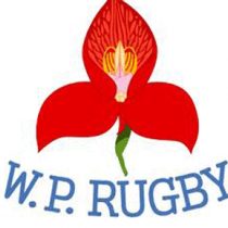 Andre Manuel rugby player