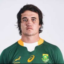 Franco Mostert rugby player