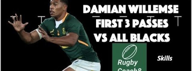 Damian Willemse first 3 passes vs All Blacks | Skills