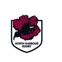 Tika Lelenga rugby player