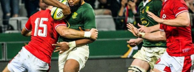 Springboks to face Wales in RWC warm-up match