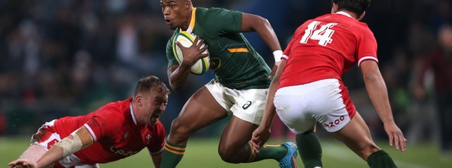 Six players to join Springbok squad in England