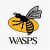 Hetta Friend Wasps FC Ladies