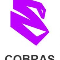 Guilherme Coghetto Cobras Brasil XV