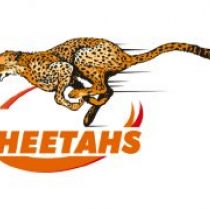 Siyasanga Sazile Free State Cheetahs