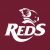 Paddy James Queensland Reds