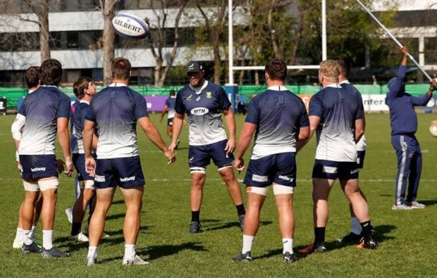 Ultimate Rugby Team Springboks switch to Test mode in Durban | Ultimate Rugby Players, News ...