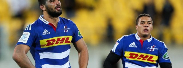 No formal offer to Cheslin Kolbe from WP Rugby