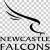 Sam Clark Newcastle Falcons