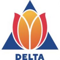 Mart van der Veen The Delta