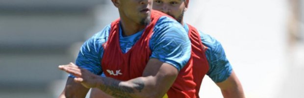 Artistic Sandi Reaches Dhl Stormers Half-century Design Illustration Artistic Sandi Reaches Dhl Stormers Half-century Design Illustration