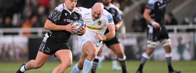 Falcons are flying at Kingston Park