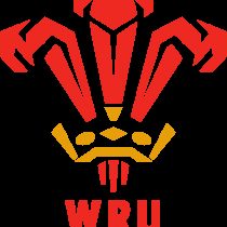 Patrick Nelson rugby player