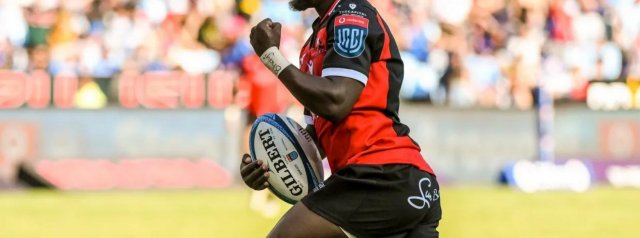Emirates Lions too strong for Hollywoodbets Sharks