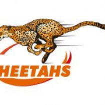 Pieter Jansen van Vuuren Free State Cheetahs
