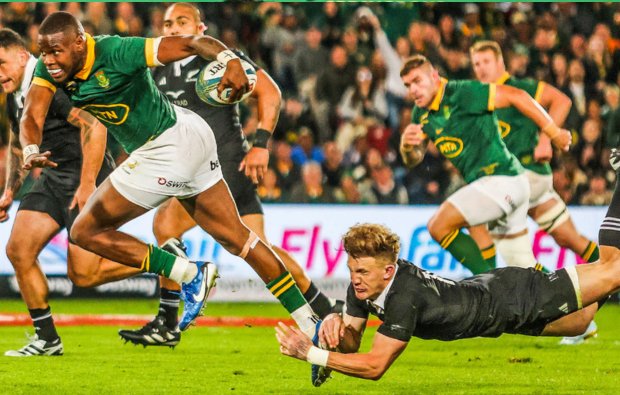 SA player ratings vs NZ | Ultimate Rugby Players, News, Fixtures and ...