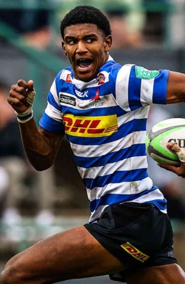 Gino Cupido | Ultimate Rugby Players, News, Fixtures and Live Results