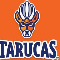 Tarucas