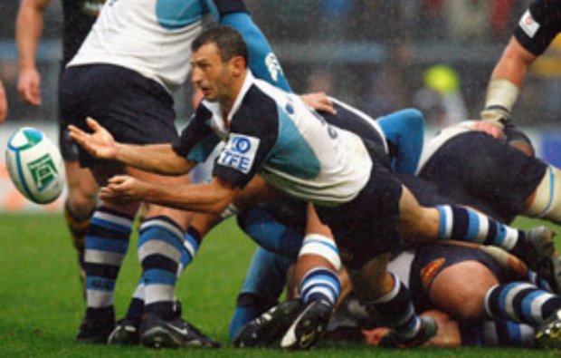 Champions Cup Preview | Castres v Benetton | Ultimate Rugby Players ...