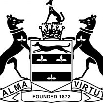 Joel Hattingh Selborne College 1st Team